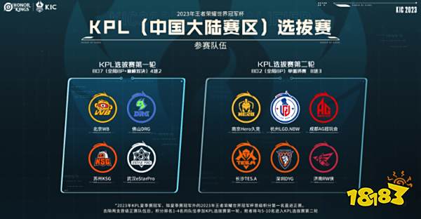 他和别尔哥 他和别尔哥