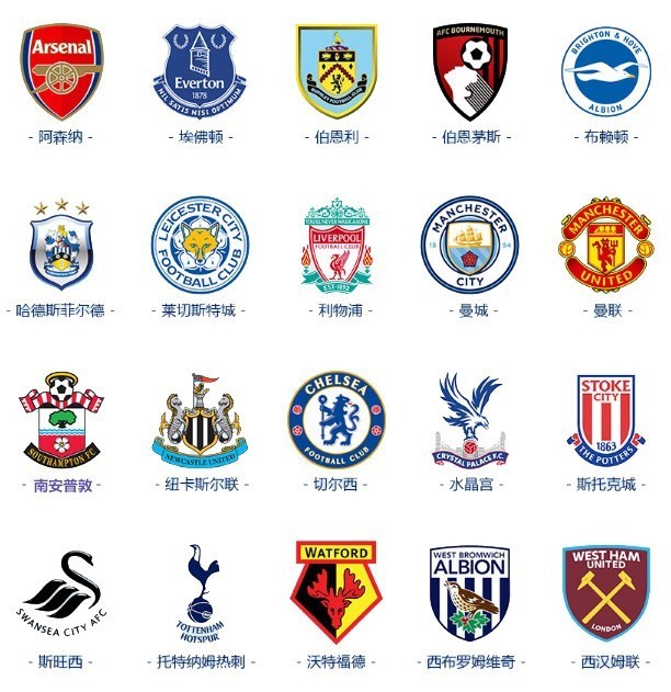 是全面开花 是全面开花