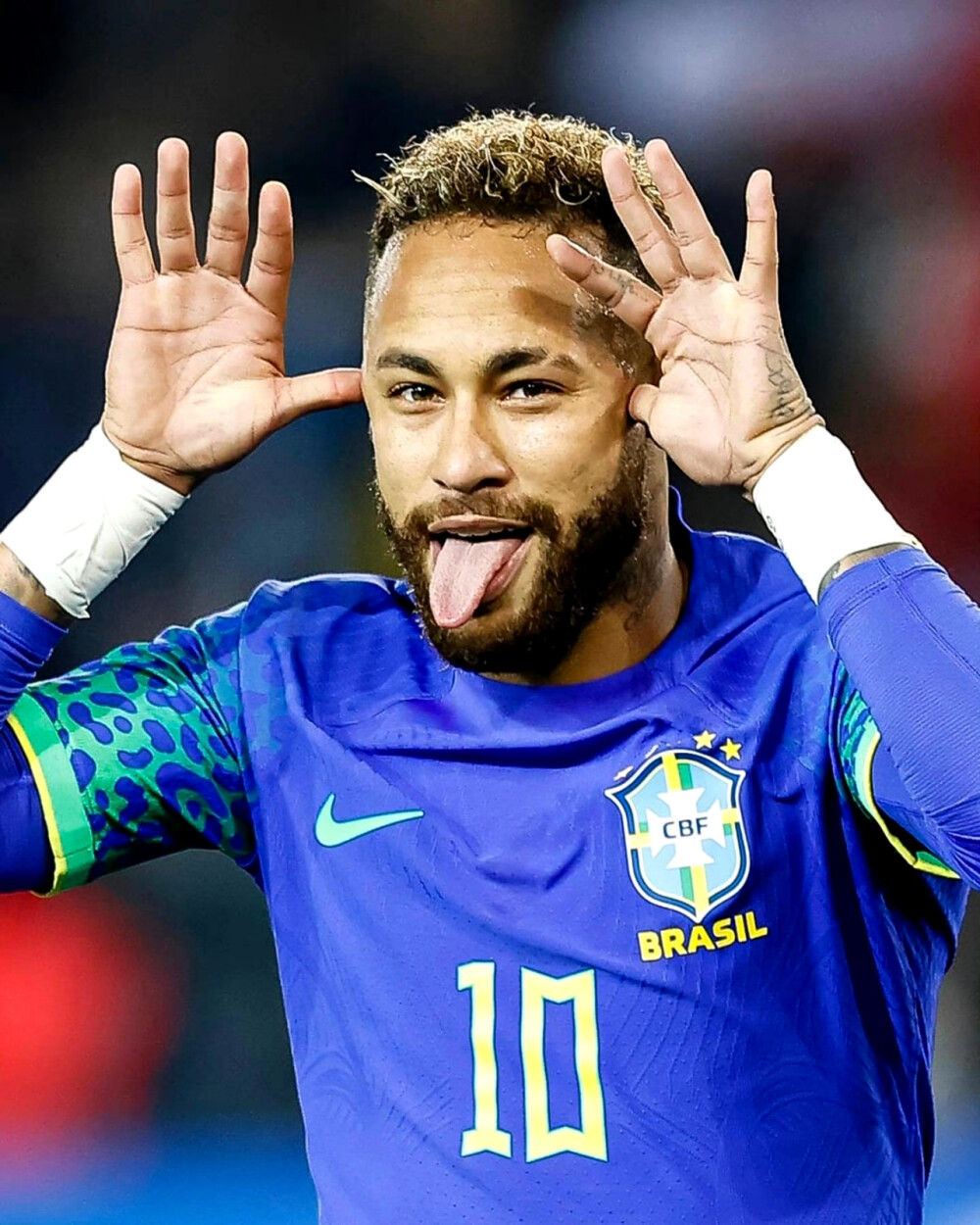 是指在自由 是指在自由