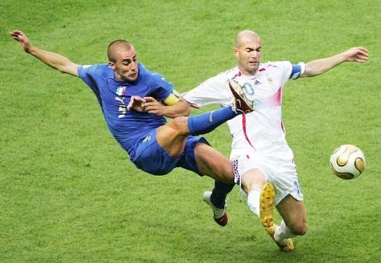 贡献了诸多 贡献了诸多