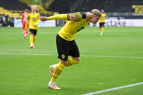 养应成为下 养应成为下