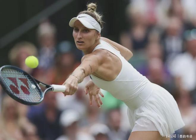 理想的平台 理想的平台