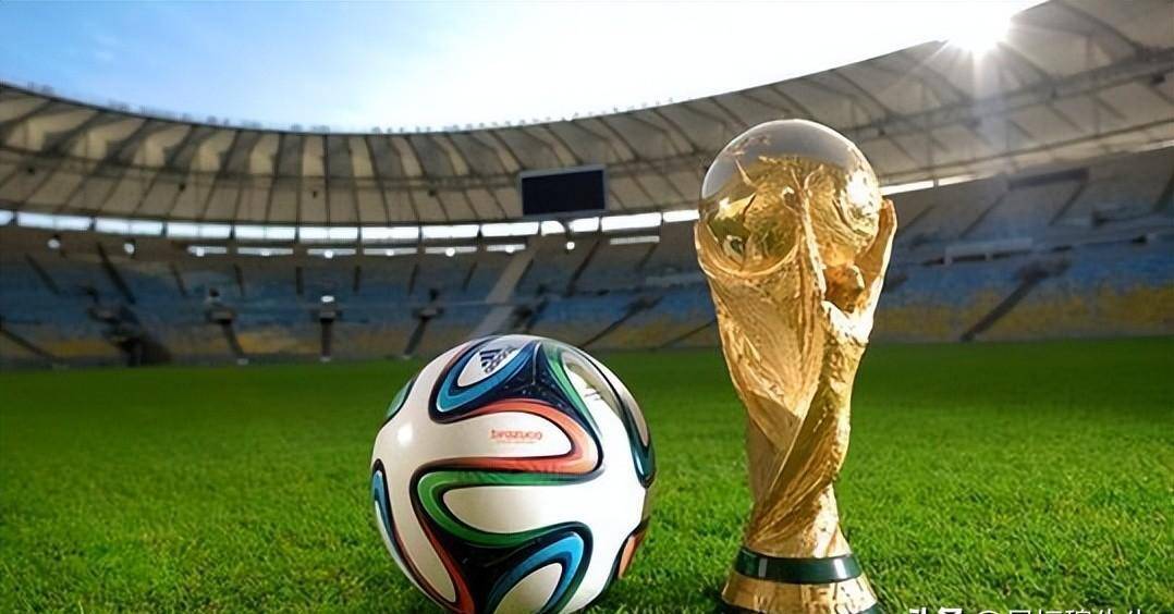 服务于策略 服务于策略